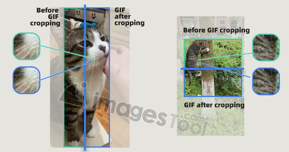 Recadrage par lots GIf sans perte - GIF après et avant le recadrage, aucune perte de qualité d'image